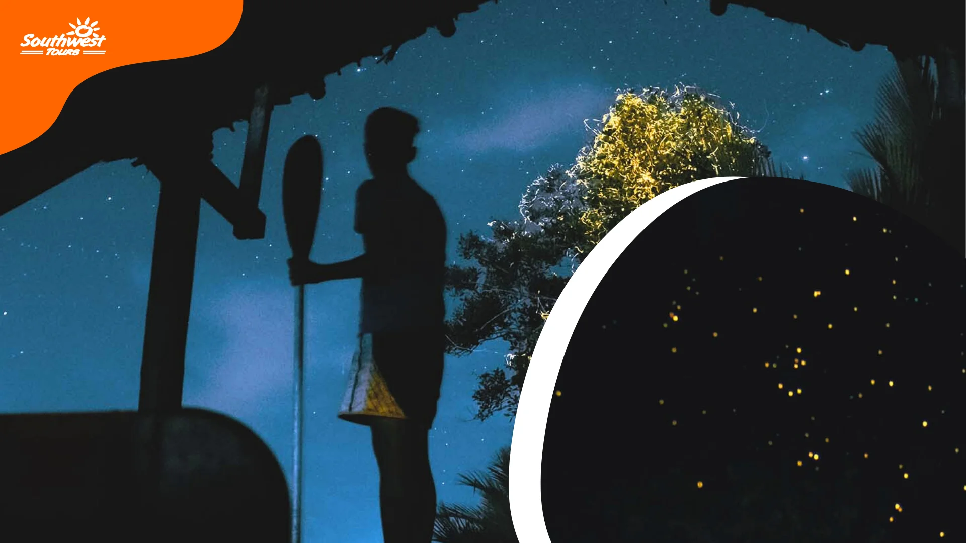  Abatan or Maribojoc Firefly Watching